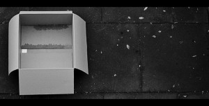 10651013346_2b6ba602de_z
